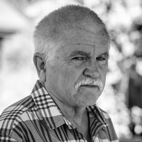 Estudios de Davis y Kelley