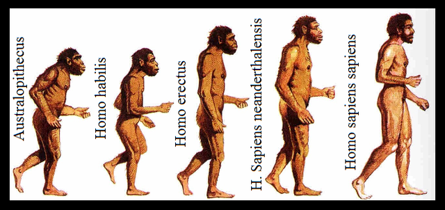 Aparició dels primers homínids