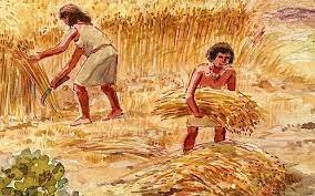 Descoberta de l'Agricultura