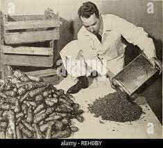 Agriculture Wartime Inventions