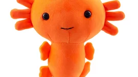 Timeline: Vibeo Gamez !!!