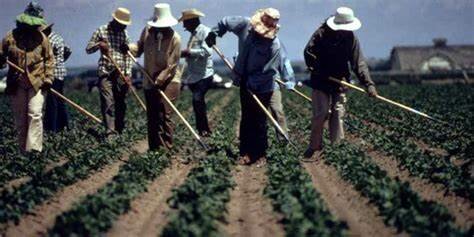 1830 Farm Labor Comparisons