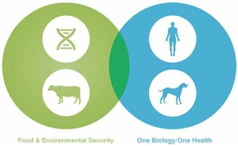 1890 Scientific Discoveries Reducing the Spread of Disease