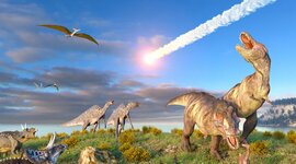 Timeline: Mass extinctions