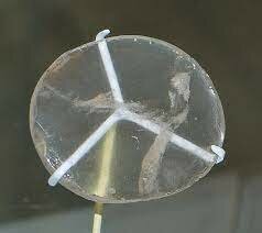 Aparicion de los lentes