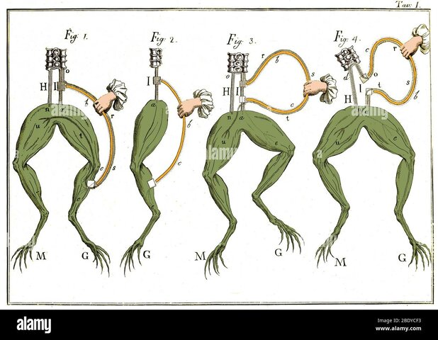 Luigi Galvani  ´´ELECTRICIDAD ANIMAL´´