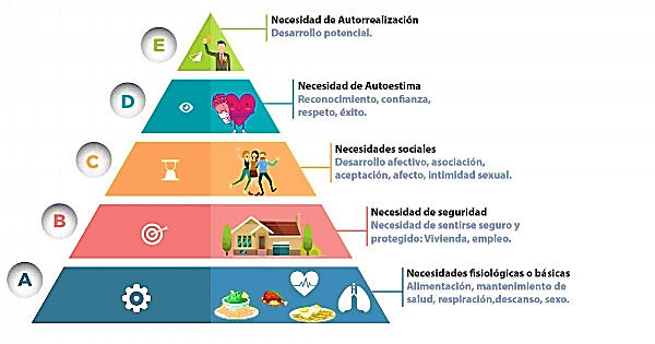 La Teoría Del Comportamiento