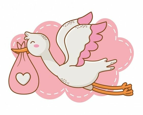 Vi el mundo por primera vez.