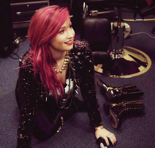 Fui al concierto de mi ídola.