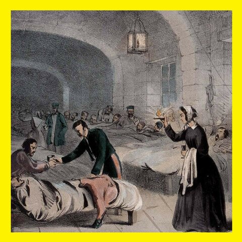 Nightingale in Turkey