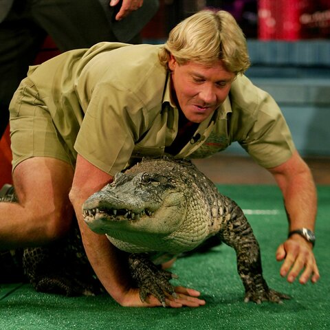 Steve Irwin Dies