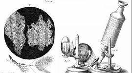Timeline: Microscopios