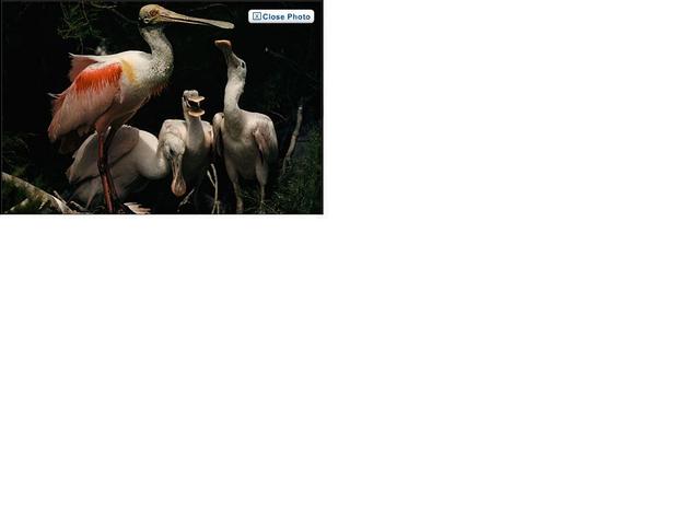 the first magazine to publish everything in colour