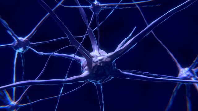 La primera agrupación neuronal