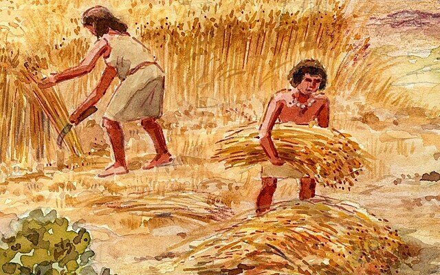 Descoberta de l'Agricultura