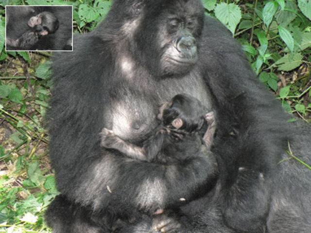 100 Greatest TV moments