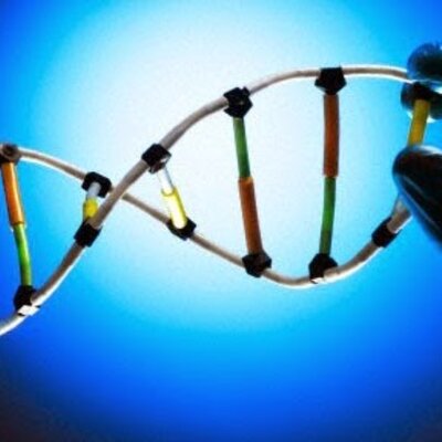 Timeline: Evolution of the brain and SN