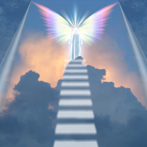 Rebelión en el cielo