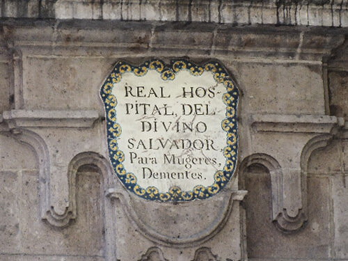 Real hospital del divino salvador