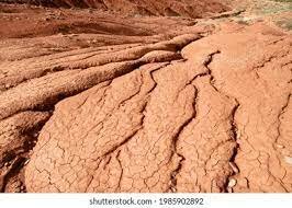 Pérmico SUELO* 270 Ma