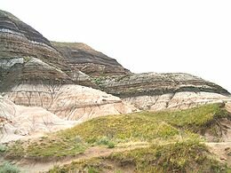 Cretácico SUELO 100 Ma