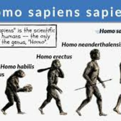 Timeline: prehistòria