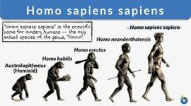 Timeline: prehistòria