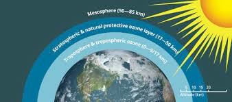 Montreal Protocol on substances that deplete the ozone layer entered into force