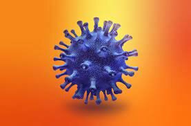 coronavirus