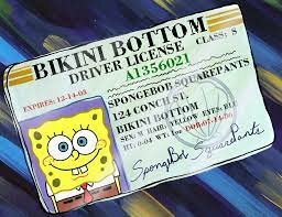 Got my driver's license
