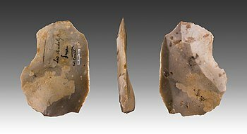 Armas del paleolítico medio