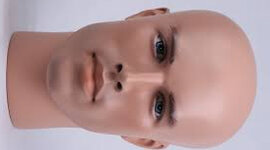 Timeline: Making a Monster