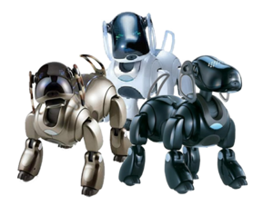 Third Generation Model - ERS-7