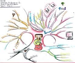 La TGS empieza a difundirse