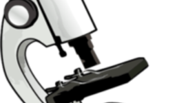 Timeline: Tipos de Microscopios por Germán Reyes