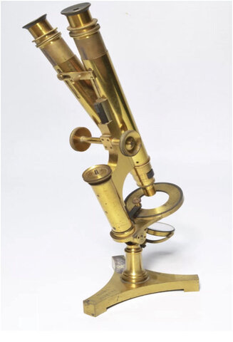 Microscopio Binocular