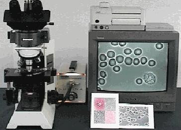 Microscopio de Campo Oscuro