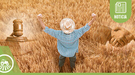 Timeline: Evolución Histórica del Derecho Agrario.