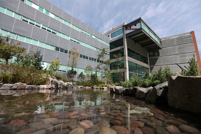 Inicio la Licenciatura en Criminología