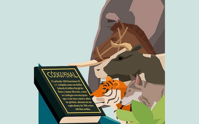 Ley Para La Protección Y Cuidado De Los Animales En El Estado De Tabasco