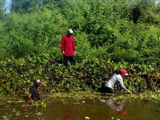 Ley de protección ambiental en el estado de Tabasco