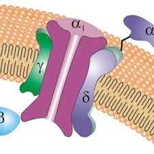 Potencial de acción