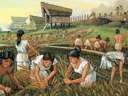 Jordbruksrevolusjonen