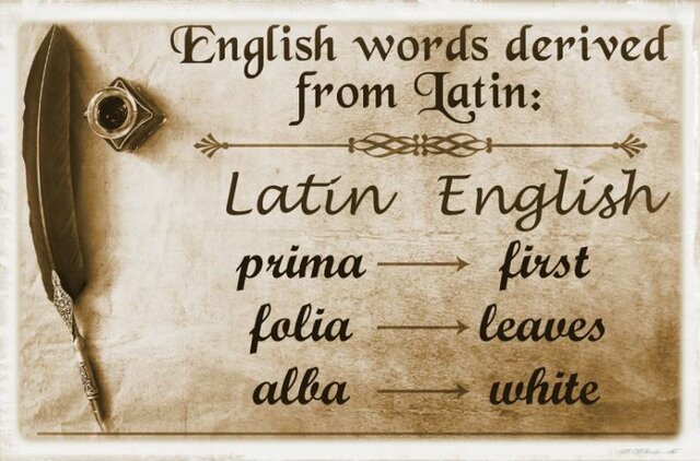 ENGLISH WORDS DERIVED FROM LATIN