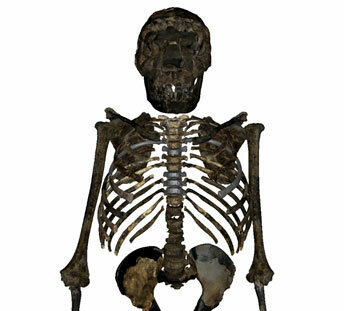 Extinció del homo erecrus