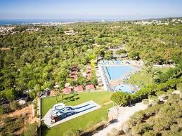 L'u d'agost del 2018 vaig començar a anar a un càmping