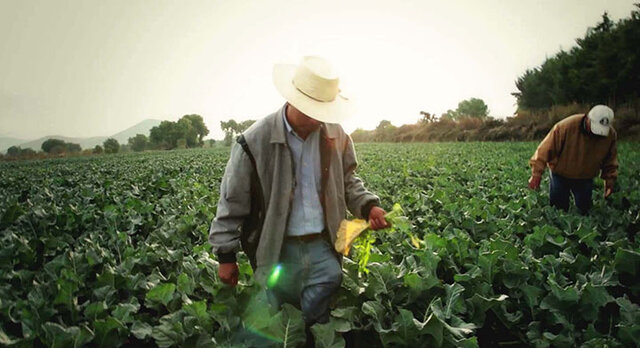 Programa de Inversiones Públicas para el Desarrollo Rural (PIDER)