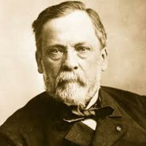 Louis Pasteur (1822-1895)