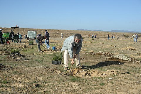 26 de febrero  de 1805