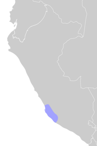 PARACAS